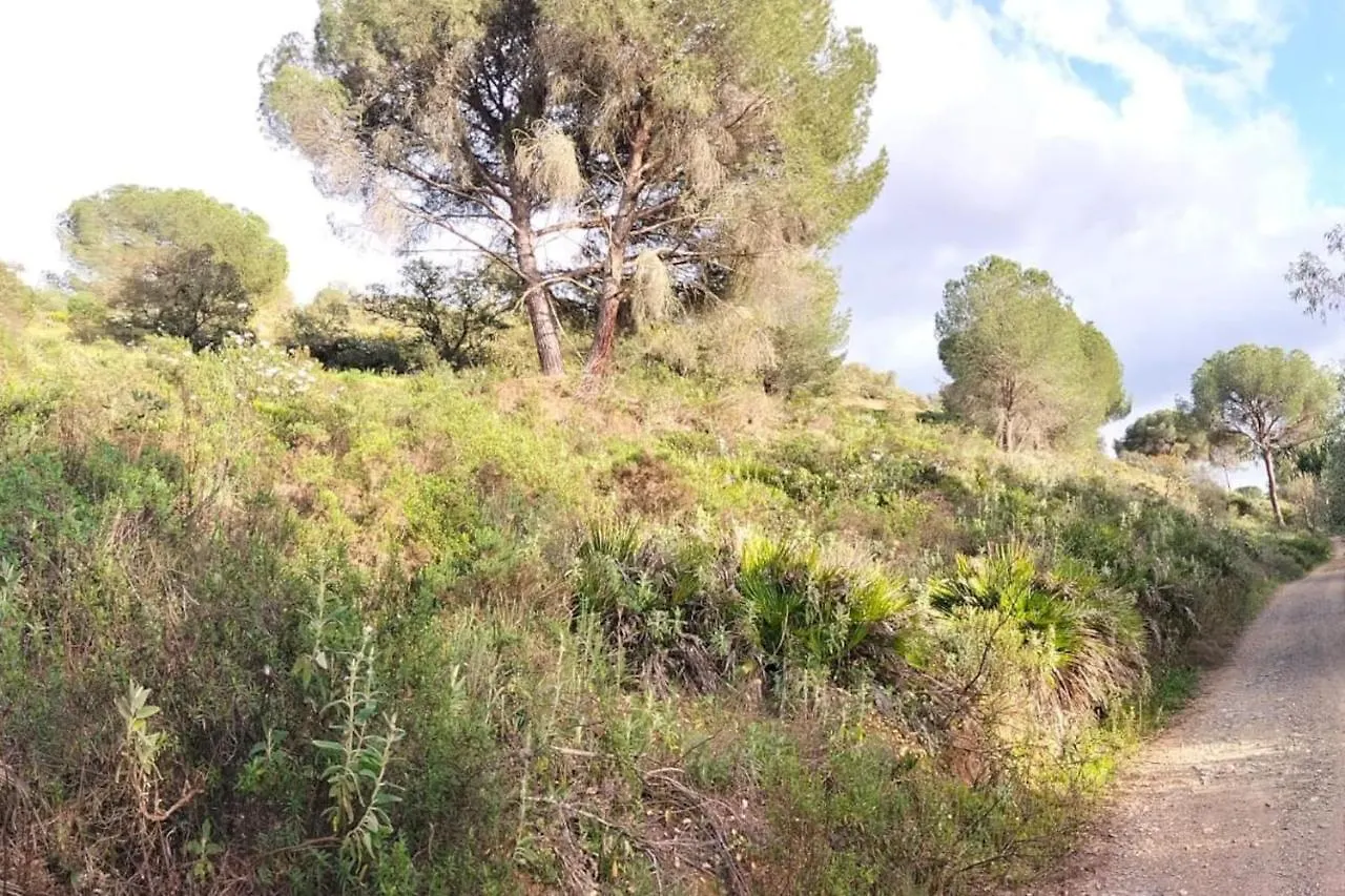 Apartment Finca Riodiel Gibraleon Spain