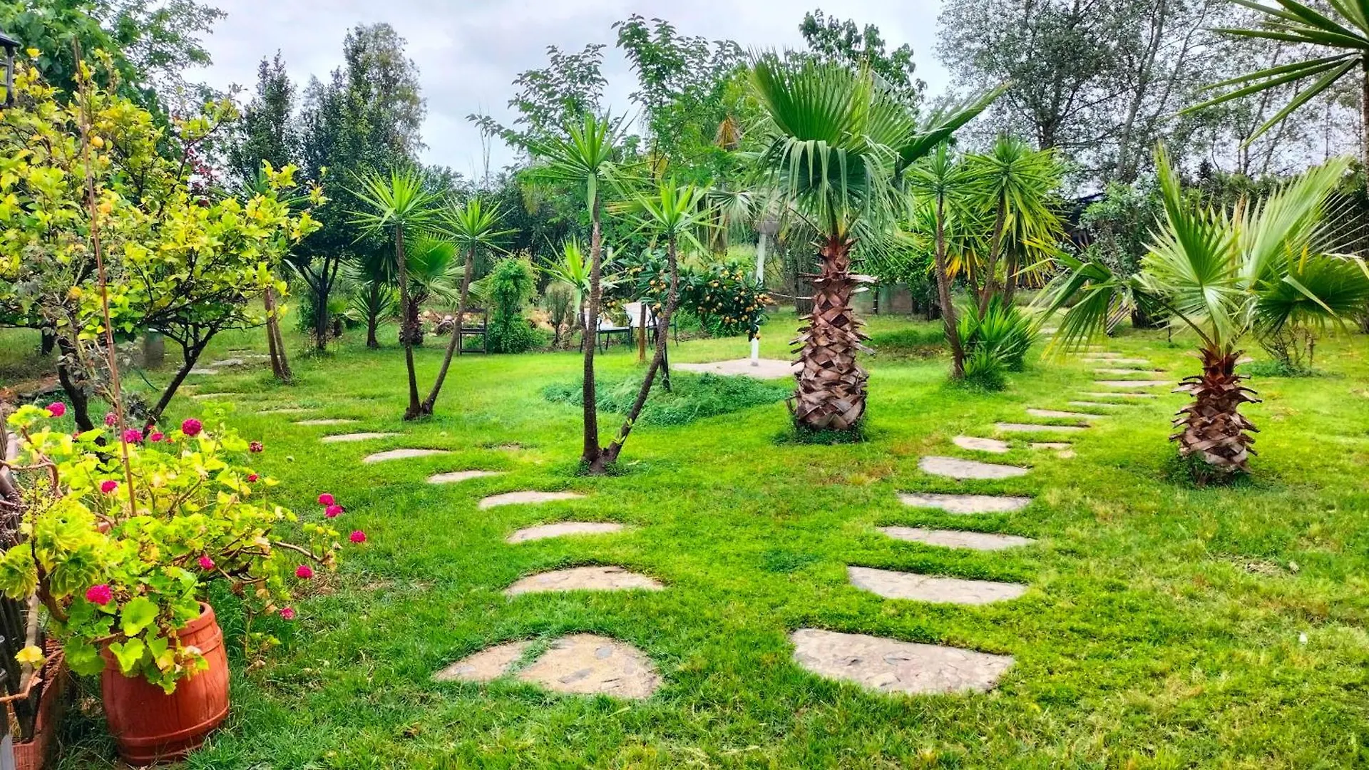 Finca Riodiel Gibraleon